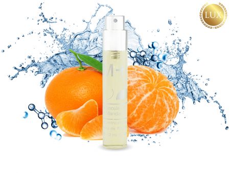 Рефилл из набора Escentric Molecules Molecule 01 + Mandarin, Edp, 12 ml (ЛЮКС ОАЭ)